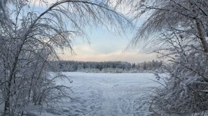 Немного из жизни...за январь ч. 1