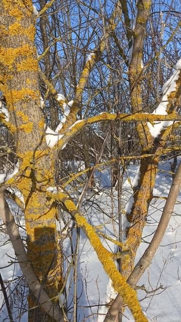 1000044218.mp4 смотреть онлайн