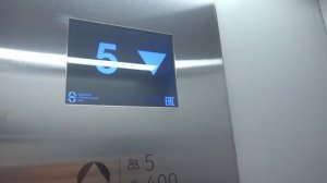 Грузопассажирский, пассажирские лифты V=1,6 м-с, Q=400, 630 кг (5312), музыкальные лифты ЩЛЗ