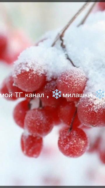 1000008250.mp4 смотреть онлайн