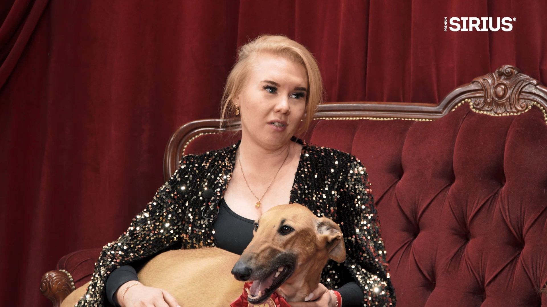 Секреты лидеров. ЛУЧШИЕ СОБАКИ РОССИИ. # 6