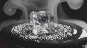 ANIMA AETERNA № 39