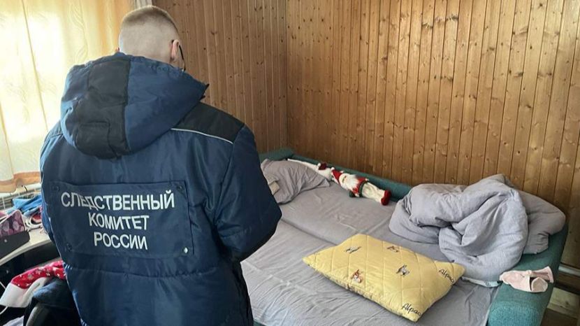 В Амурской области возбудили уголовное дело по факту убийства матерью ребенка смотреть онлайн