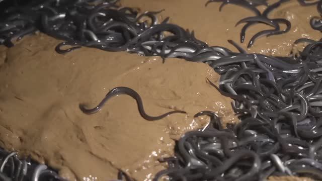 Угри (унаги), выращенные в Японии - производственный процесс от выращивания до переработки. смотреть онлайн