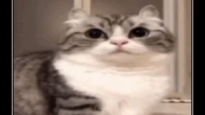 15 ФАКОВ l ГОША RYTP (ВНИМАНИЕ! НЕНОРМАТИВНАЯ ЛЕКСИКА!)