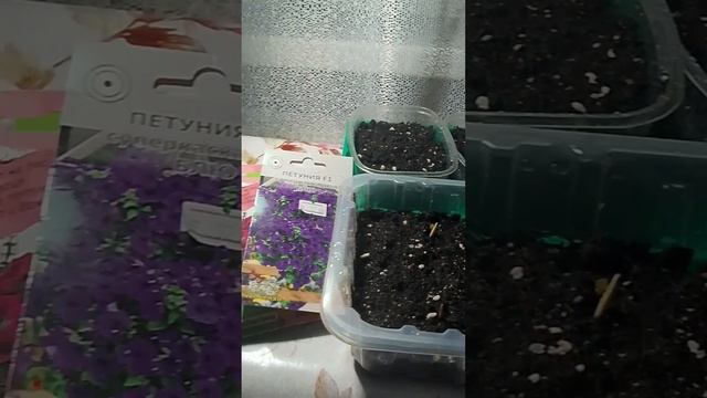 Началась посевная 2026г. смотреть онлайн