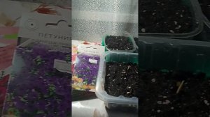 Началась посевная 2026г.