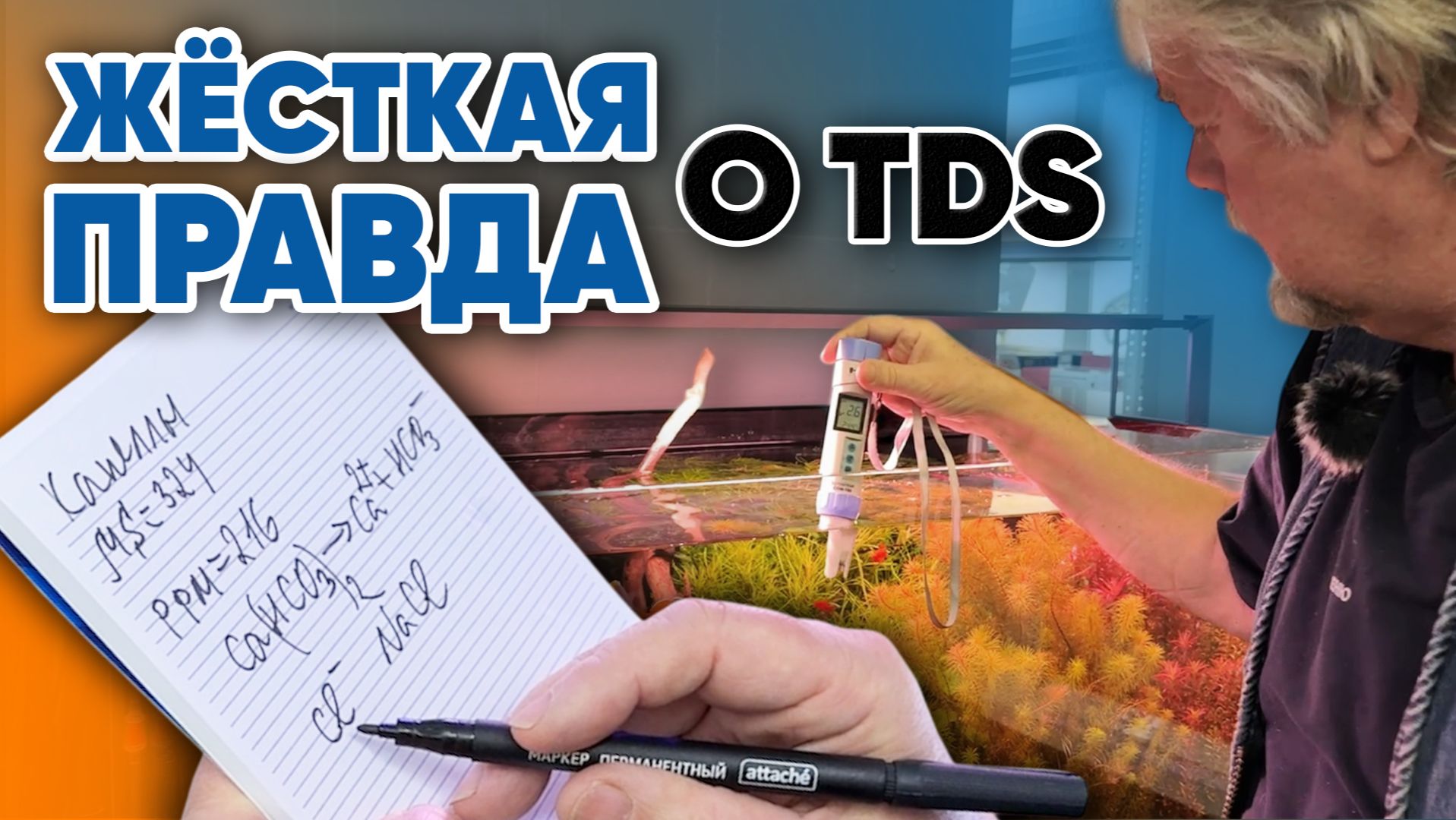Аквариумные истории из ЭКЗОМЕНЮ (30.01.2026). Жёсткая правда о TDS! Самый скучный выпуск #tds смотреть онлайн
