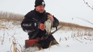 ОХОТА НА КУРОПАТКУ. В ПОИСКАХ ЗАЙЦА. ЗАВАЛИЛО СНЕГОМ. Охота на зайца и серую куропатку.