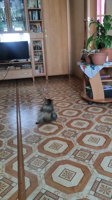 VID_20260110_130149.mp4 смотреть онлайн