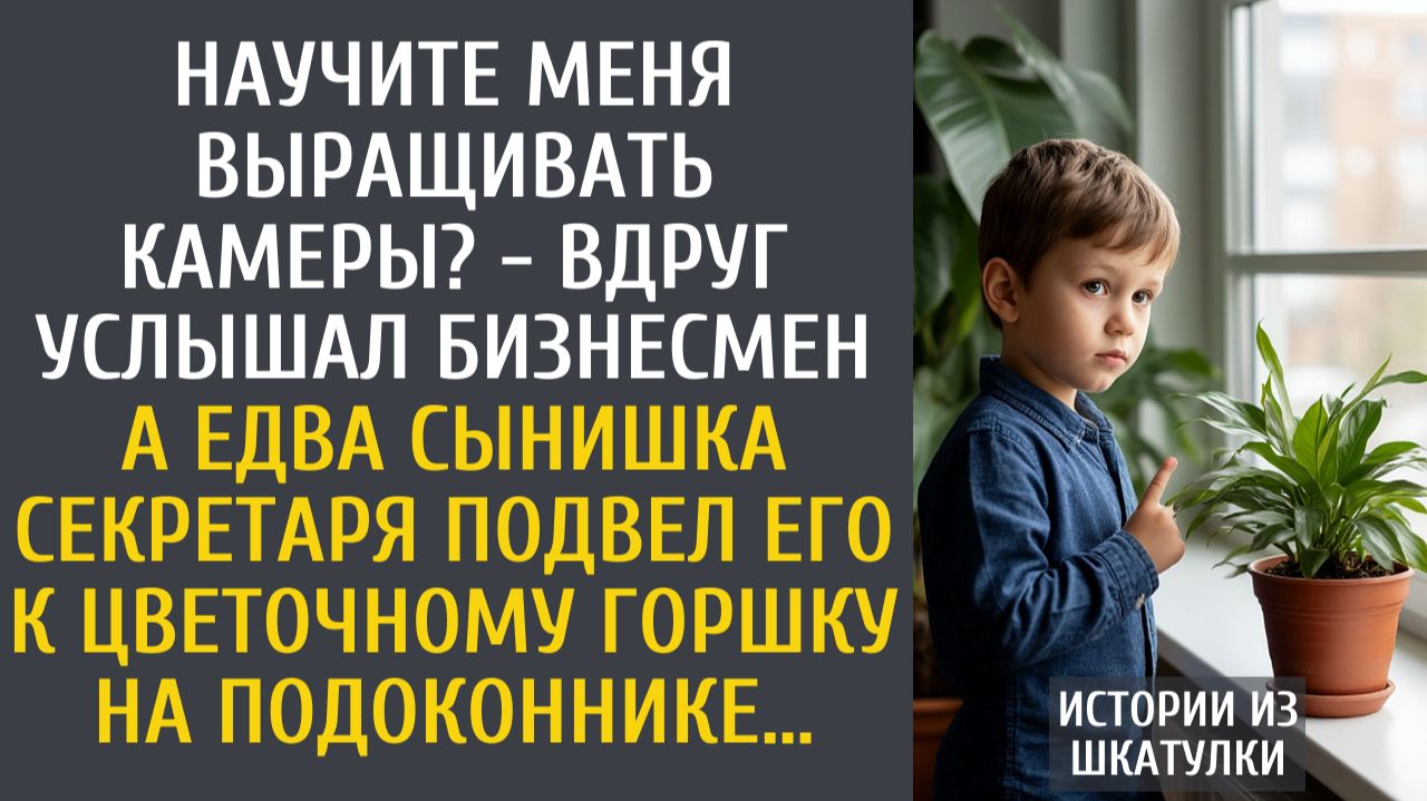 Истории из жизни: Научите меня выращивать камеры? - вдруг услышал бизнесмен… А едва мальчик подвел… смотреть онлайн