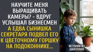 Истории из жизни: Научите меня выращивать камеры? - вдруг услышал бизнесмен… А едва мальчик подвел…