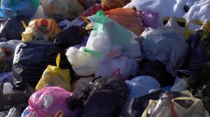 МУСОРНЫЙ КРИЗИС