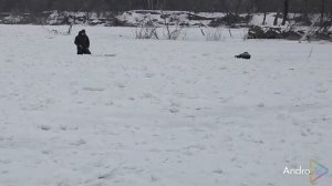 Копановка 29.01.2026