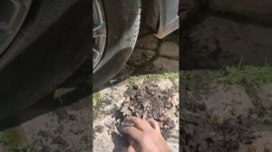 EXEED китайский автомобиль одни проблемы