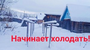 Z.Б.209. Зима, ёлки палки! Кусочек моей жизни. Жизнь продолжается!