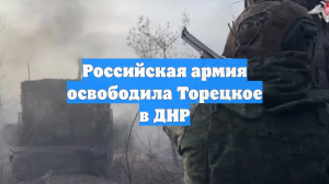 Российская армия заняла Торецкое в ДНР и Петровку в Запорожской области