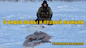 Рыбацкая фантастика: впервые поймал 6 разных рыб, включая сига! Зимняя рыбалка.