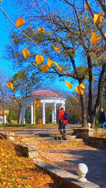 Ессентуки Осень Курортный парк 2021 смотреть онлайн