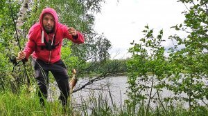 Рыбалка на щуку и окуня с берега на торфяном карьере в лесу.