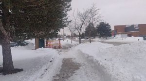 VID_20260130_162150699