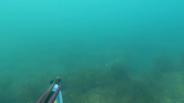 инал после шторма 23г. 24 января 24г. смотреть онлайн