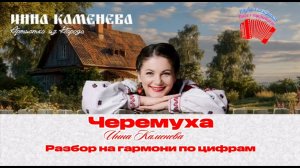 Инна Каменева / «Черемуха» / разбор на гармони по цифрам