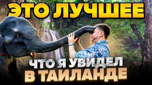 ПХУКЕТ: ТОП в ТАИЛАНДЕ, что я увидел! Джунгли Зовут от Смело в Тай