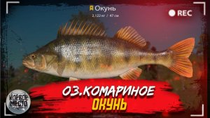 Играем в Russian Fishing 4 снова ловим окуня и другую рыбку на оз.Комариное.