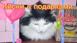 Киски с подарками.Кормим птичек.Наш день 30.01.26.