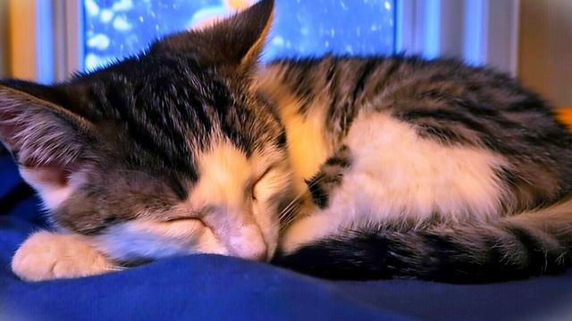 Зимняя успокаивающая музыка для сна и медитации | погружение в сон за 20 минут смотреть онлайн