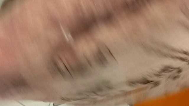 пижамы с Валдберисс и мышиное гамно в доме. смотреть онлайн