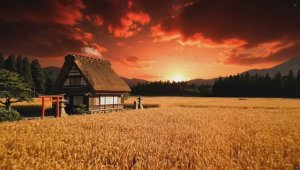 SDR Хомай Хомяк KARAMONTAN 4K - от SLIVIK