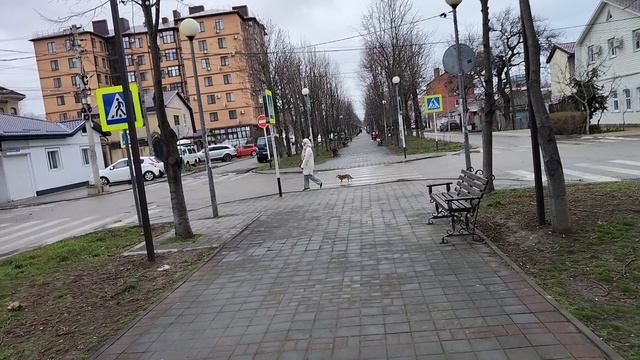 Анапа. Сегодня пасмурно и дождливо. Улица Кати Соловьяновой. 31 января 2026. смотреть онлайн