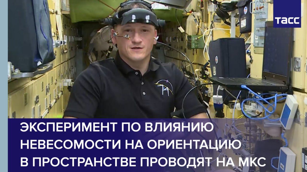 Эксперимент по влиянию невесомости на ориентацию в пространстве проводят на МКС смотреть онлайн