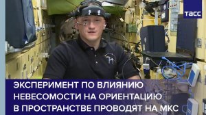 Эксперимент по влиянию невесомости на ориентацию в пространстве проводят на МКС