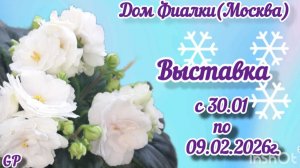 ФИАЛКИ. Выставка "Зима улыбается - 2026" с 30.01 по 09.02.2026г. Дом ФИАЛКИ. Москва.