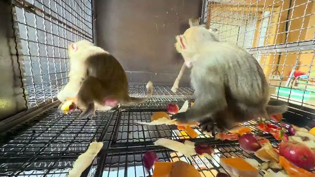 Ужин удался, все дети сидят тихо, не ссорятся, не дерутся, прямо ангелы😁 смотреть онлайн