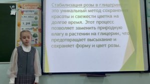 Атаманчук Елизавета, 3б класс, ИТЛ №24