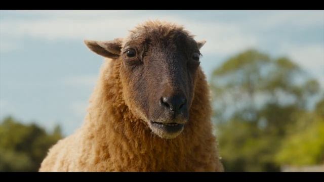 Следствие ведут овечки — Русский трейлер (Дубляж, 2026) смотреть онлайн