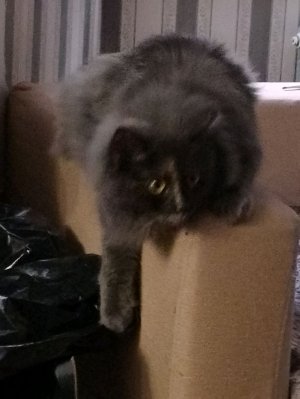 рассказываю как буду продавать ногти