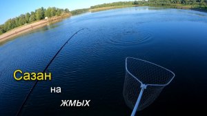 Клюнул небольшой сазанчик на жмых. Летняя рыбалка на Ахтубе