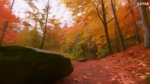 осень 3 смотреть онлайн