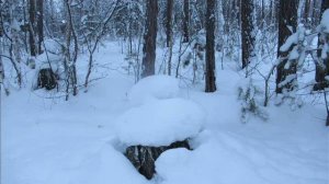 Лепетан Мор Фильм Зимушка... 1 часть.