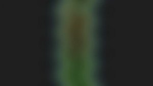 Секретная комната в черепахаграде о которой ты 100% не знал! | ФиксПаша