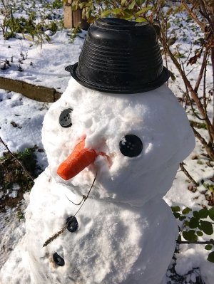 несколько уроков по лепке (cOOlkid)