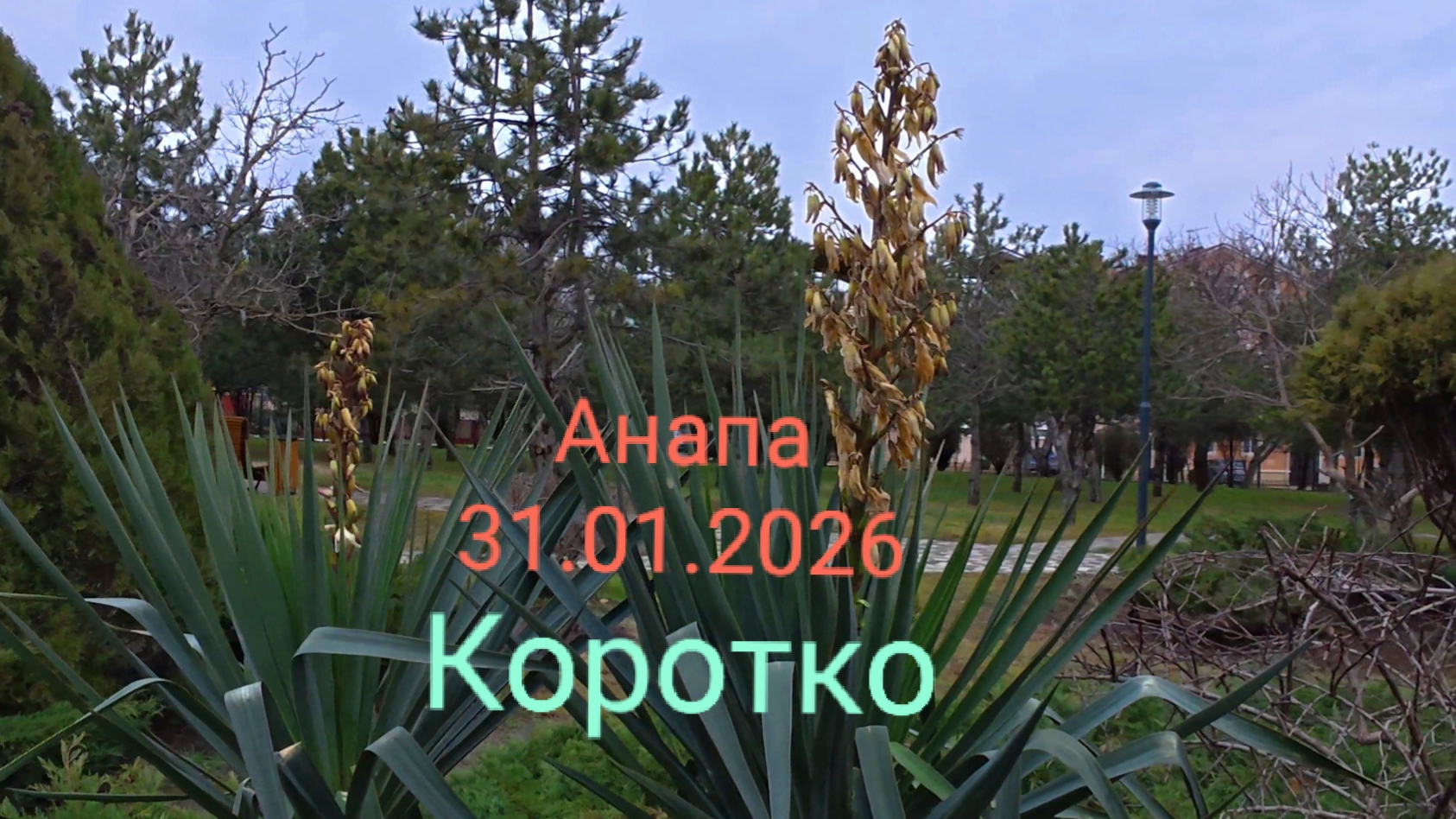 Анапа 31.01.2026 Коротко смотреть онлайн