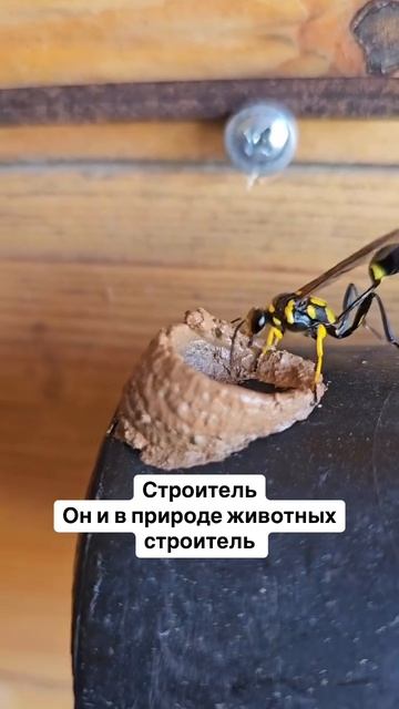 Какая чёткая работа смотреть онлайн