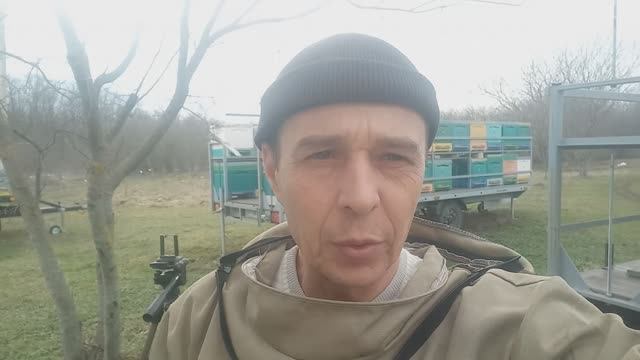 Приступили к стимуляции пчел (для чего и как) смотреть онлайн