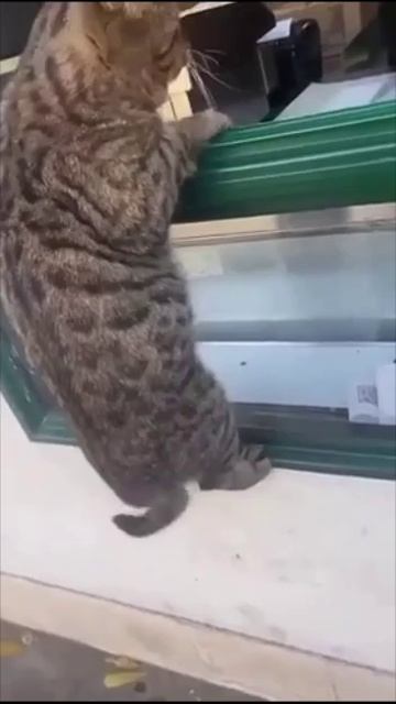 Дай закажу брат смотреть онлайн